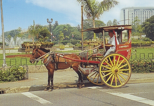 kalesa